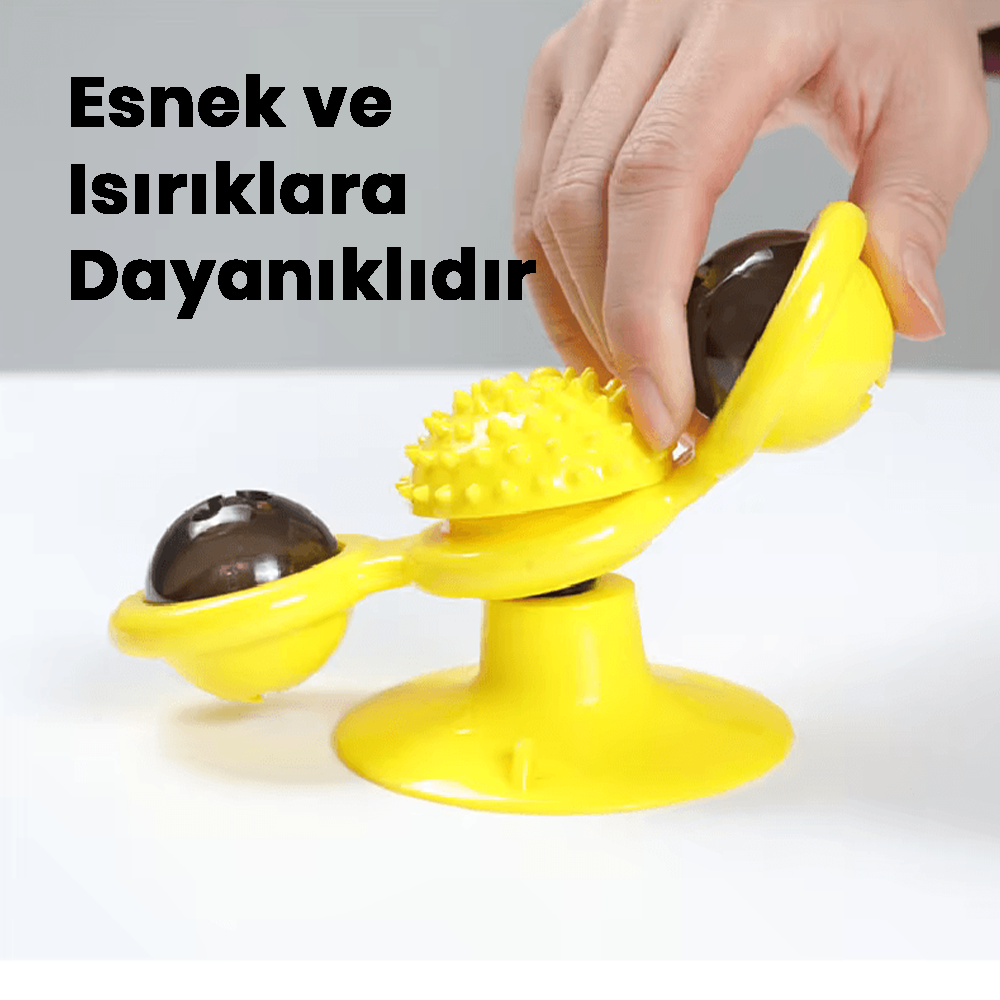 Çok Fonksiyonlu Kedi Oyuncağı