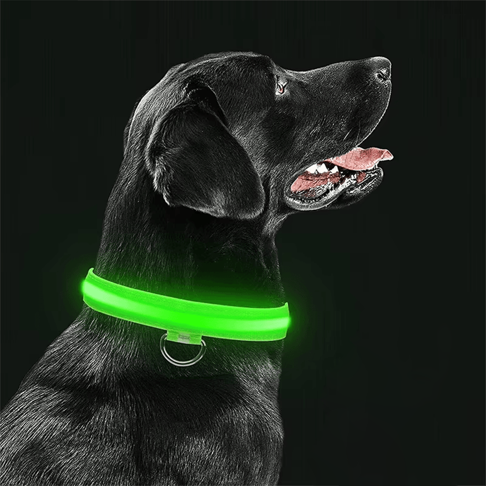 Lighted Collar