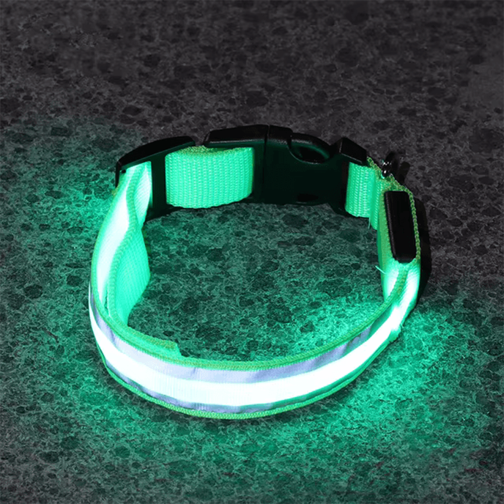 Lighted Collar