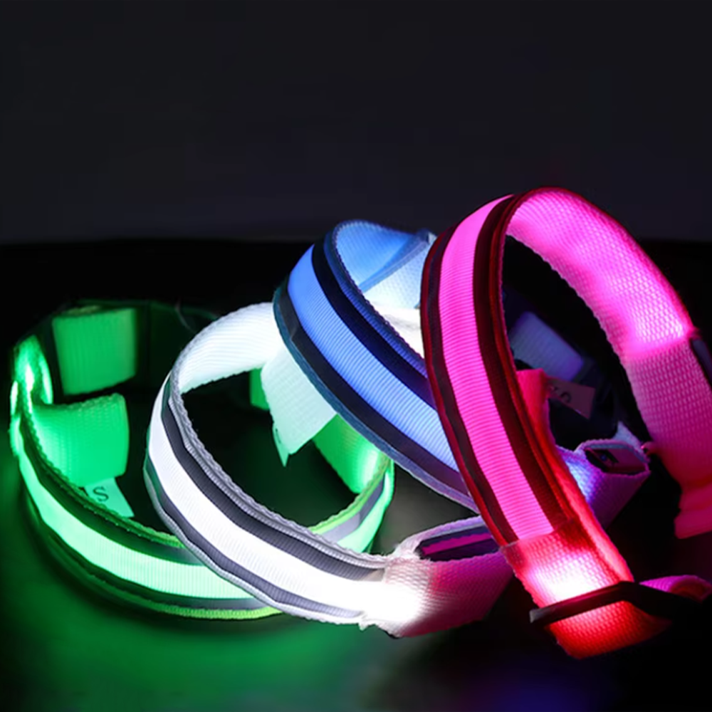 Lighted Collar