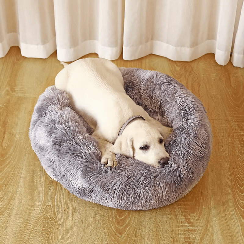 Comfortable Plush Bed