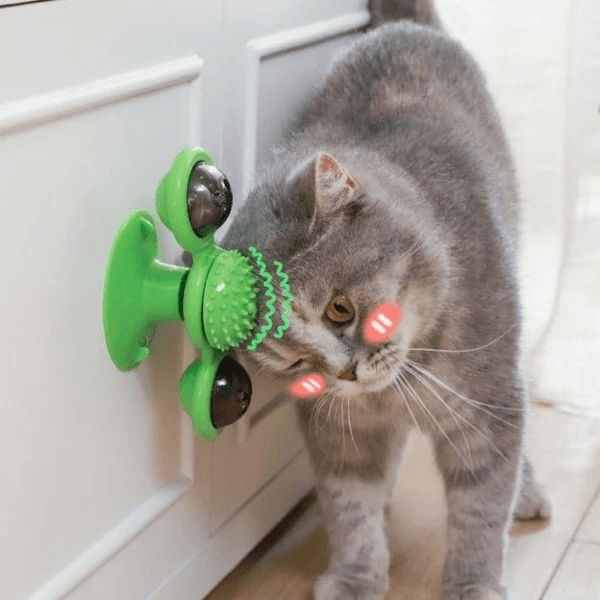 Multifunctional Cat Toy